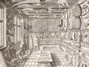 Museum of Ole Worm, Leiden, 1655 by G. Wingendorp